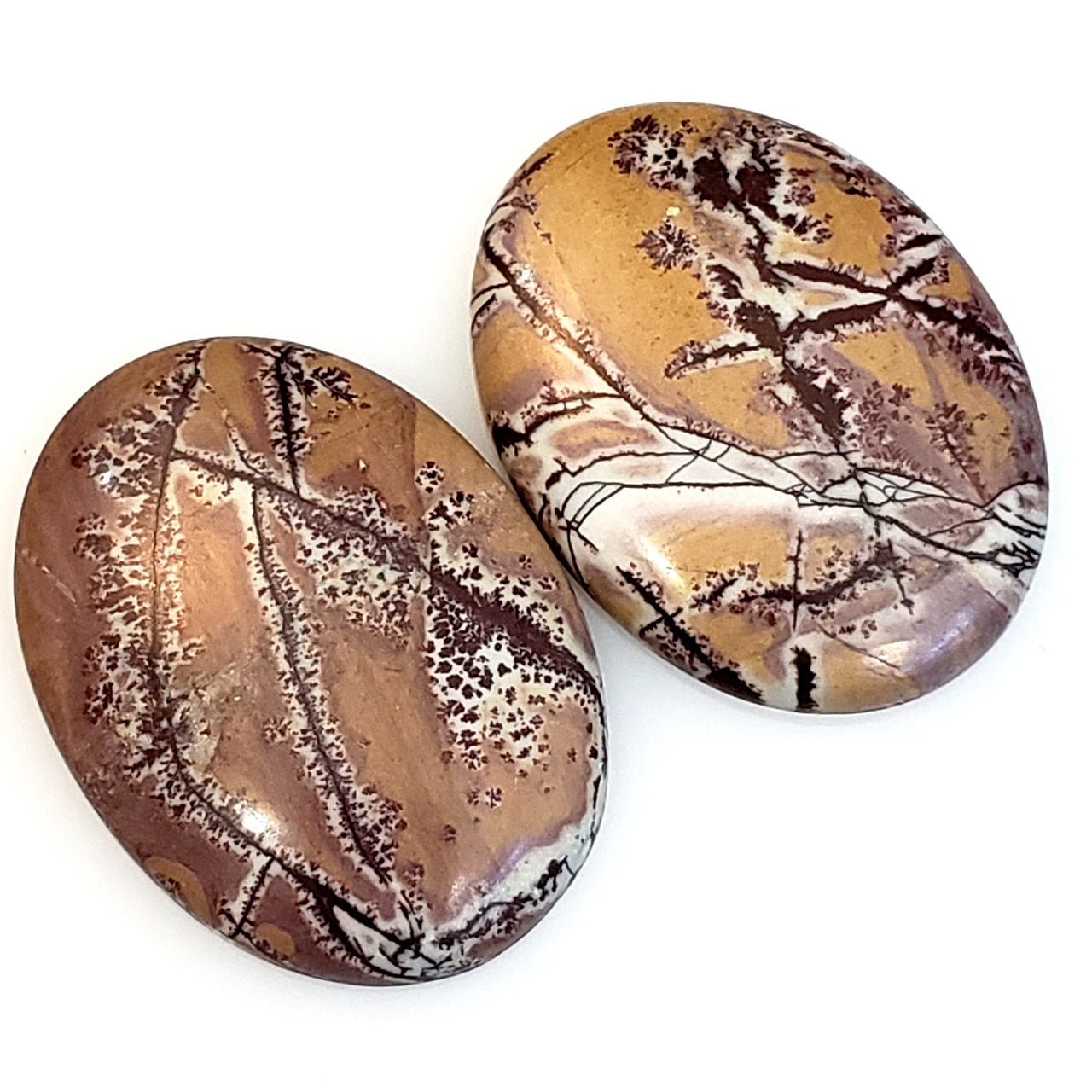 Natural Sonoran Dendritic Jasper Cabochons