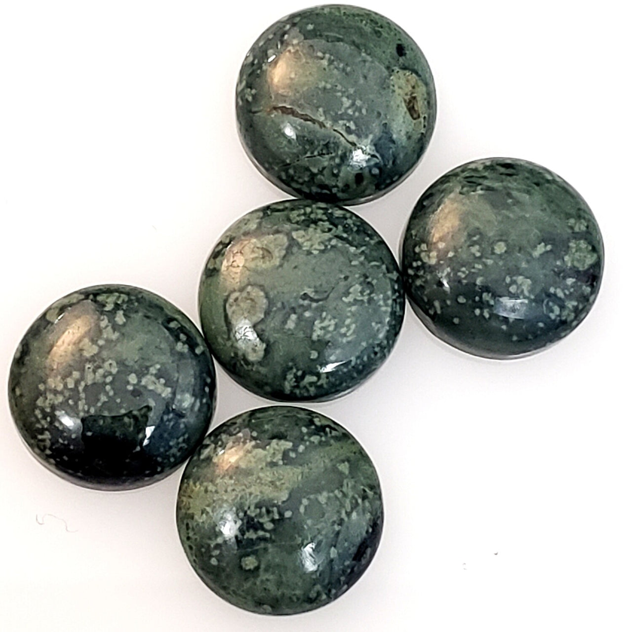 Natural 5pcs Kambaba Jasper Cabochon Lot 12mm each