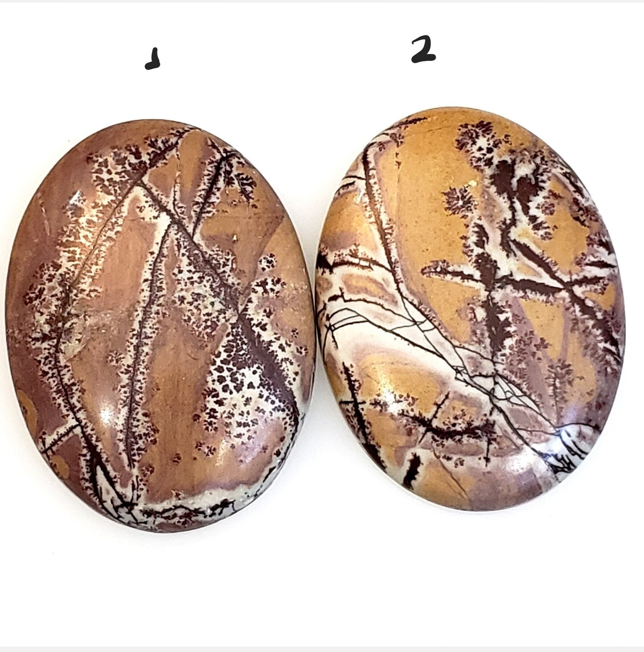 Natural Sonoran Dendritic Jasper Cabochons