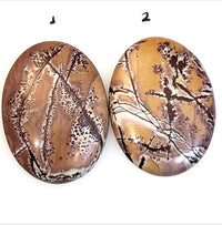 Thumbnail for Natural Sonoran Dendritic Jasper Cabochons