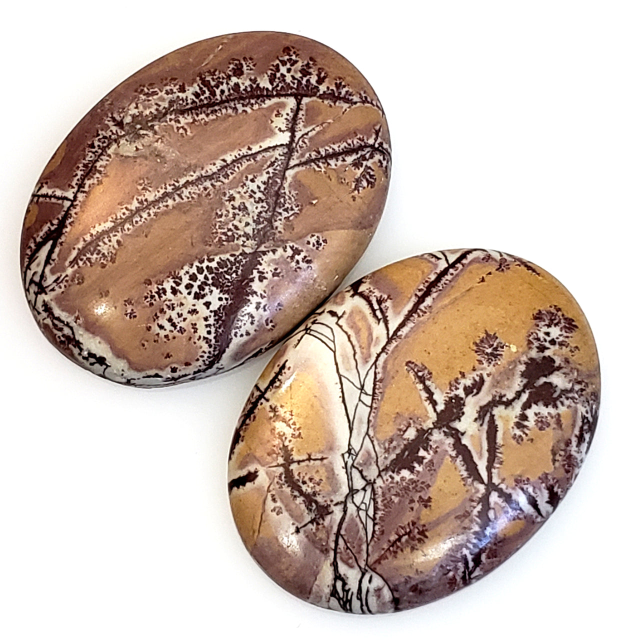 Natural Sonoran Dendritic Jasper Cabochons