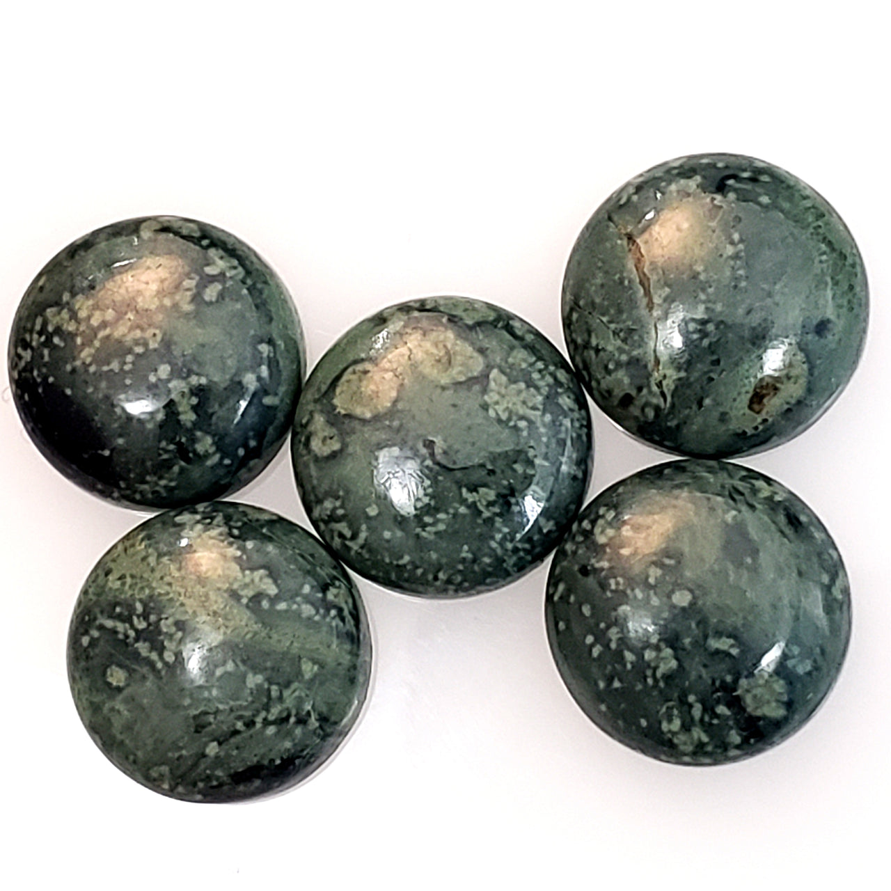 Natural 5pcs Kambaba Jasper Cabochon Lot 12mm each