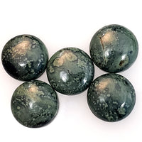 Thumbnail for Natural 5pcs Kambaba Jasper Cabochon Lot 12mm each