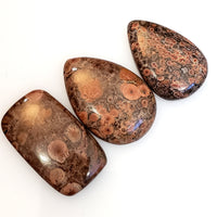 Thumbnail for Natural Red Poppy Jasper Cabochons