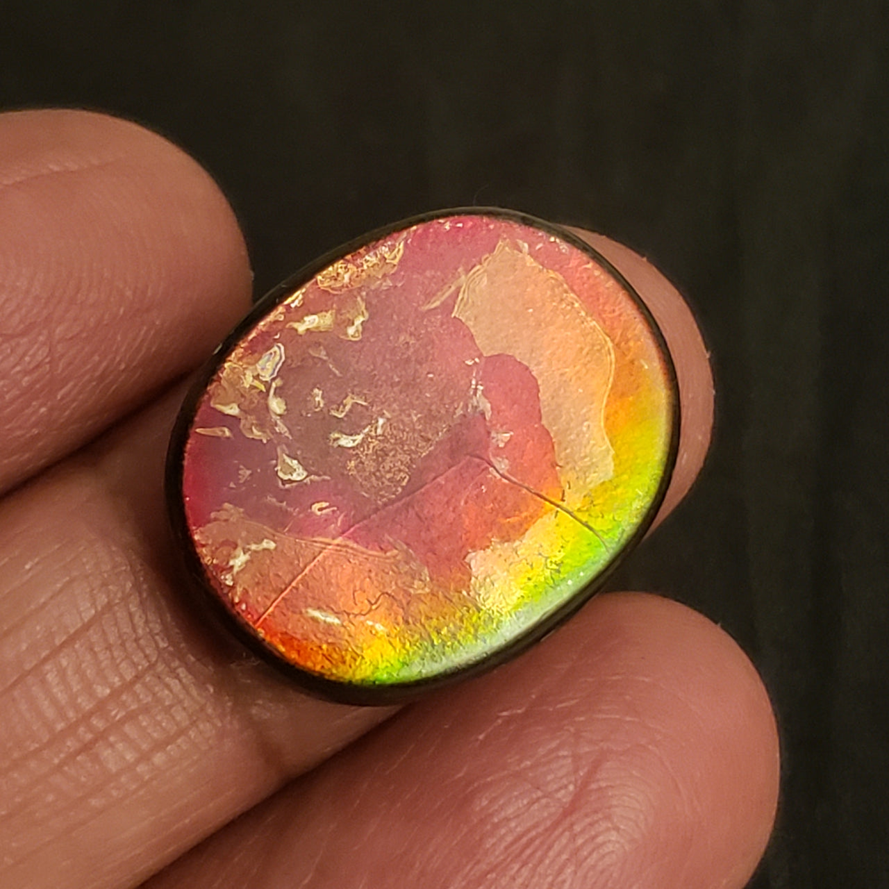 16.5Ct Natural Ammolite. Size- approx. 21x17mm