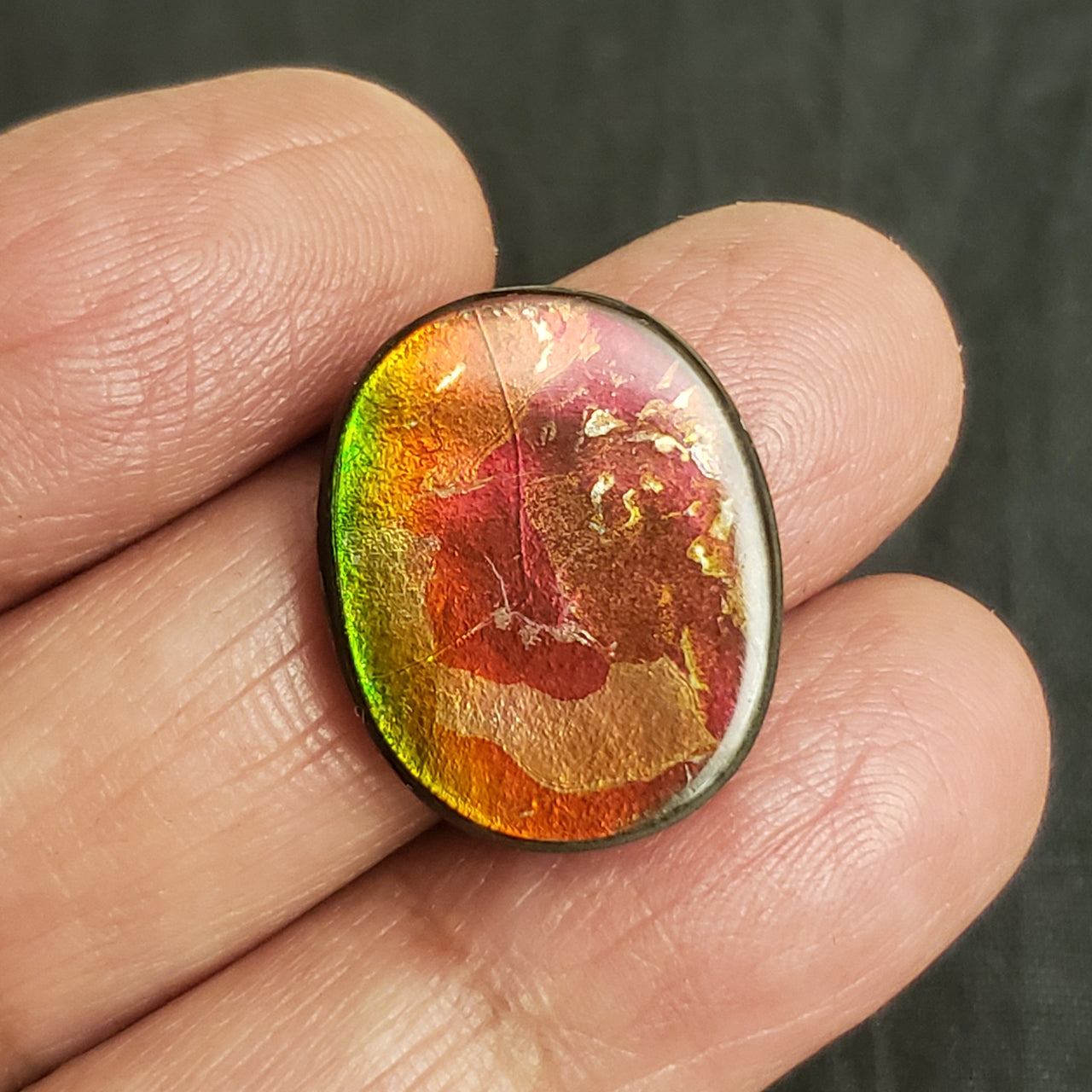 16.5Ct Natural Ammolite. Size- approx. 21x17mm