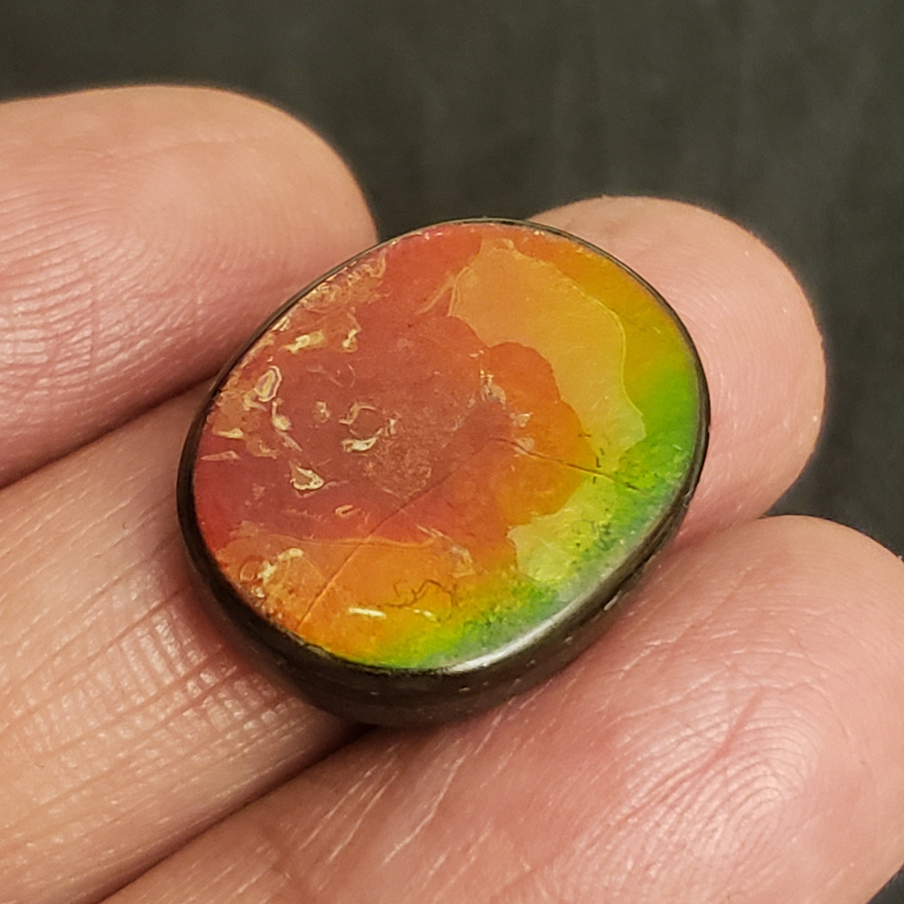 16.5Ct Natural Ammolite. Size- approx. 21x17mm