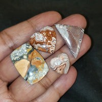 Thumbnail for 4Pcs 75Ct Natural Maligano Jasper, Rosetta Jasper, Sonoran Dendritic Jasper Cabochon LOT