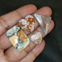 Thumbnail for 4Pcs 75Ct Natural Maligano Jasper, Rosetta Jasper, Sonoran Dendritic Jasper Cabochon LOT