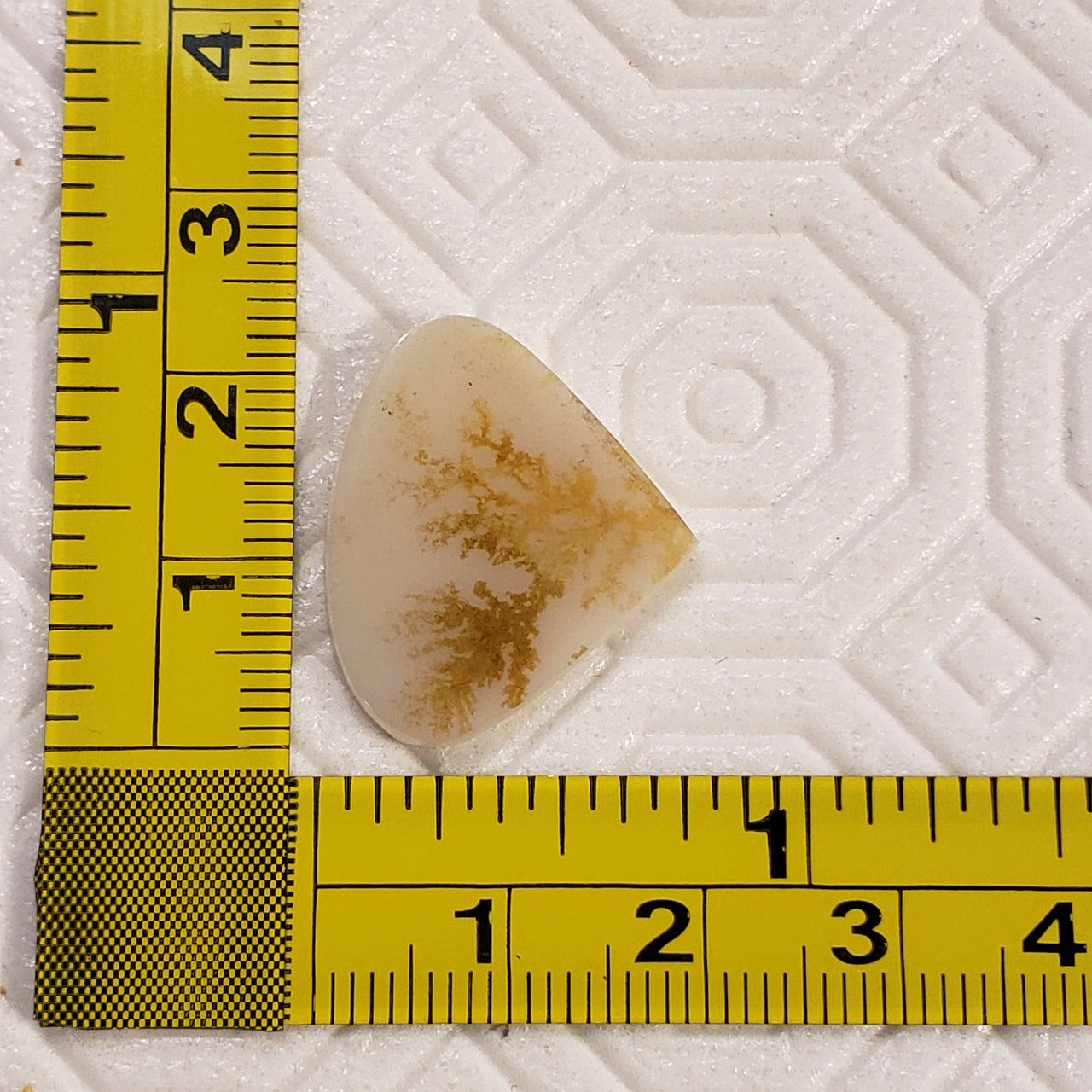 8.5Ct Natural Scenic Montana Agate Slice Cabochon. Size- approx. 22x20mm