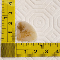 Thumbnail for 8.5Ct Natural Scenic Montana Agate Slice Cabochon. Size- approx. 22x20mm