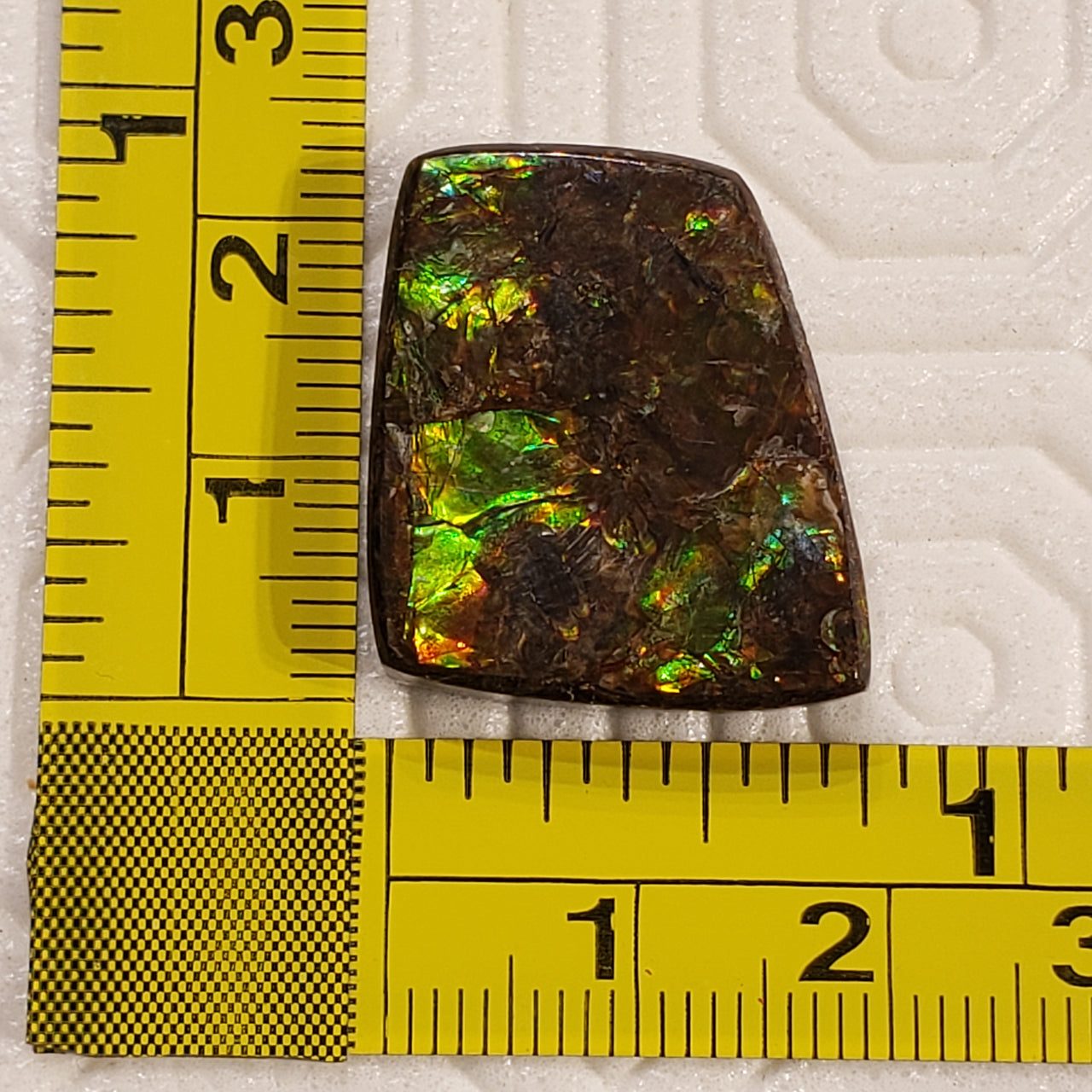 24.5Ct Natural Ammolite. Size- approx. 23x19mm