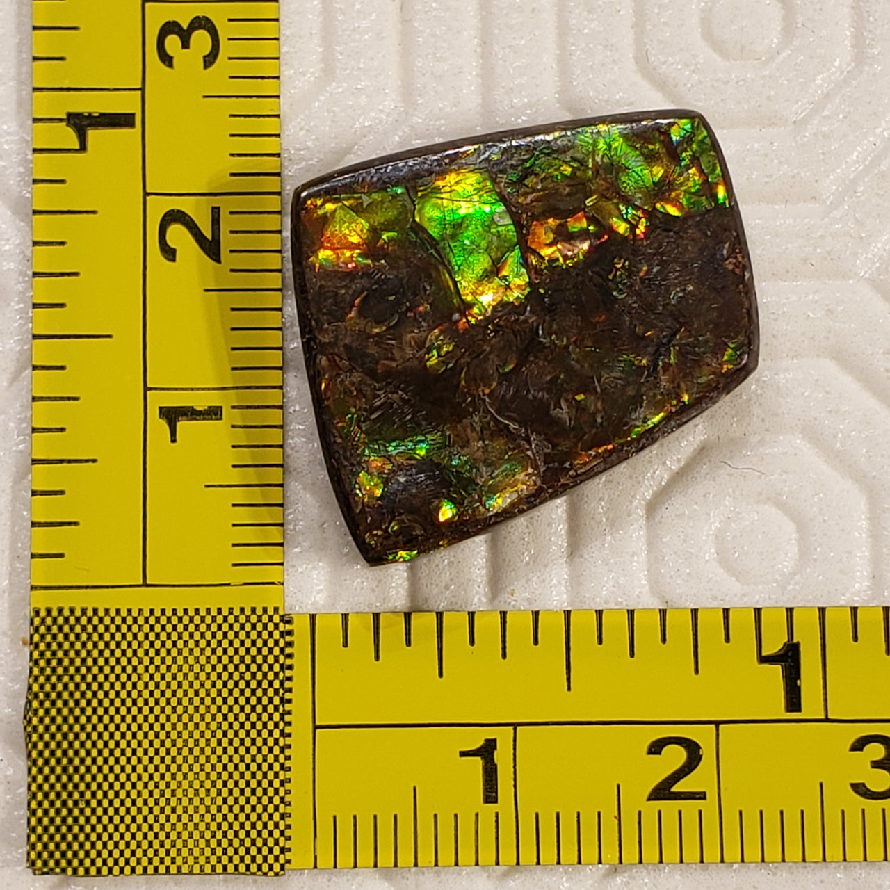 24.5Ct Natural Ammolite. Size- approx. 23x19mm