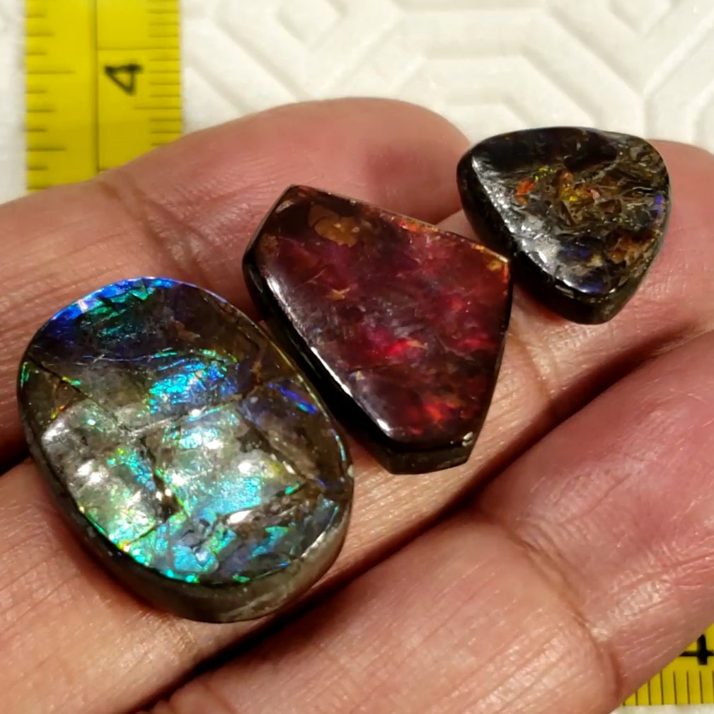 Natural Ammolite