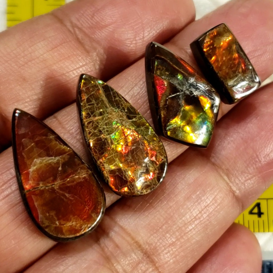 Natural Ammolite