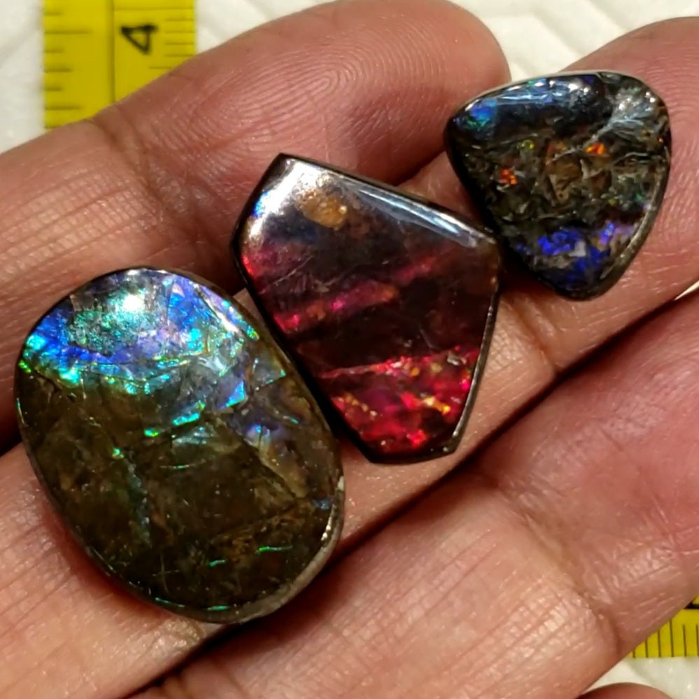 Natural Ammolite