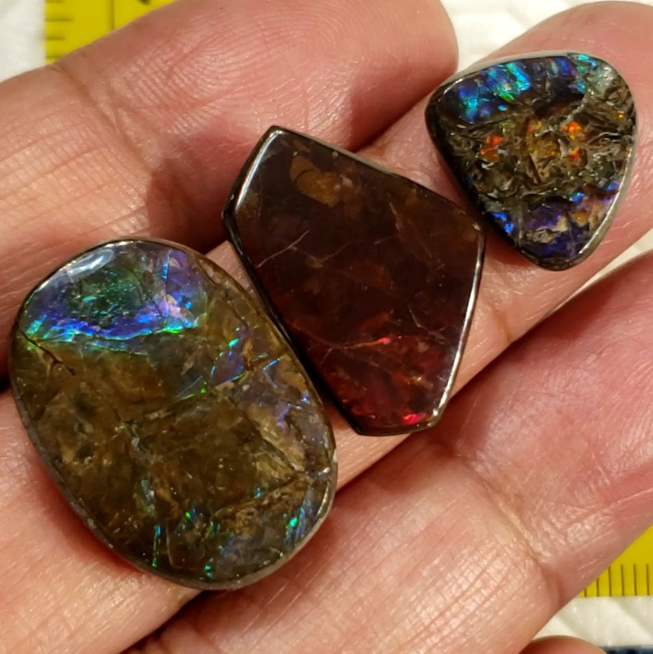 Natural Ammolite