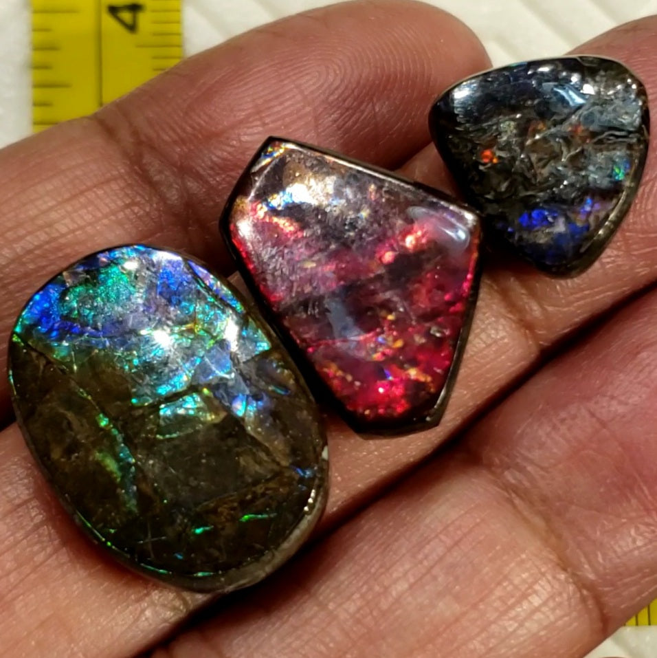 Natural Ammolite