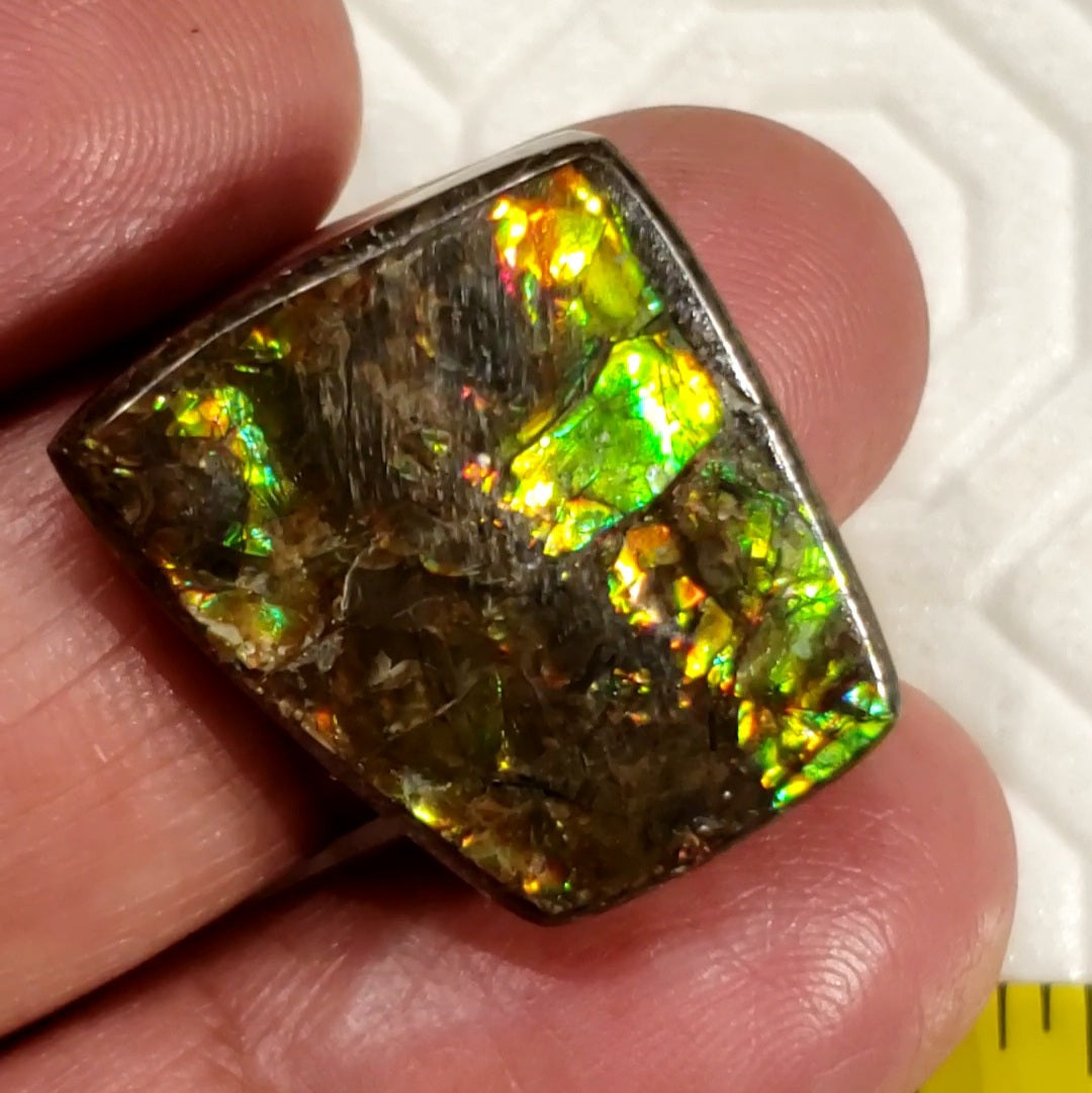 24.5Ct Natural Ammolite. Size- approx. 23x19mm