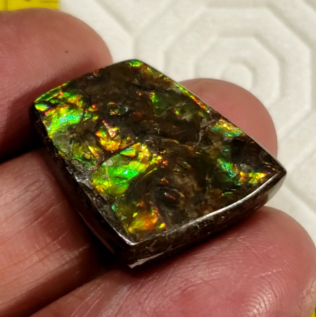 24.5Ct Natural Ammolite. Size- approx. 23x19mm