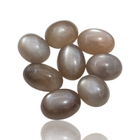 Thumbnail for 46.5Ct 8Pcs Natural Grey Moonstone Cabochon LOT. Size range- approx. 11x9mm to 13x10mm