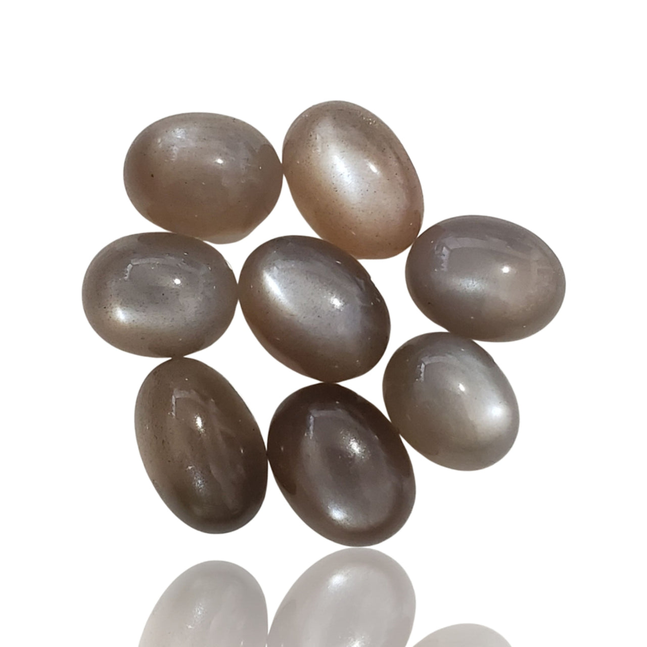 46.5Ct 8Pcs Natural Grey Moonstone Cabochon LOT. Size range- approx. 11x9mm to 13x10mm