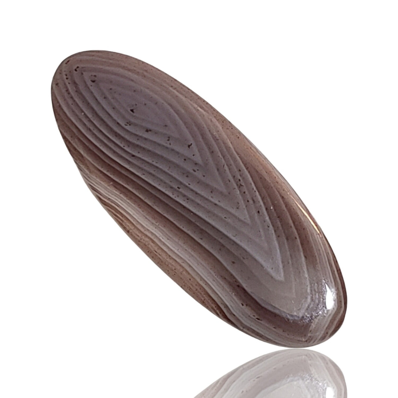 11.5Ct Natural Botswana Agate Cabochon. Size- approx. 32x12mm