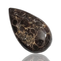 Thumbnail for 34Ct Natural Turritella Agate Cabochon. Size- approx. 32x18mm