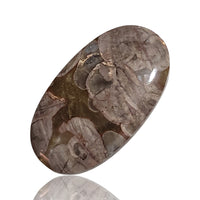 Thumbnail for 32.5Ct Natural Mushroom Rhyolite Cabochon. Size- approx. 37x21mm