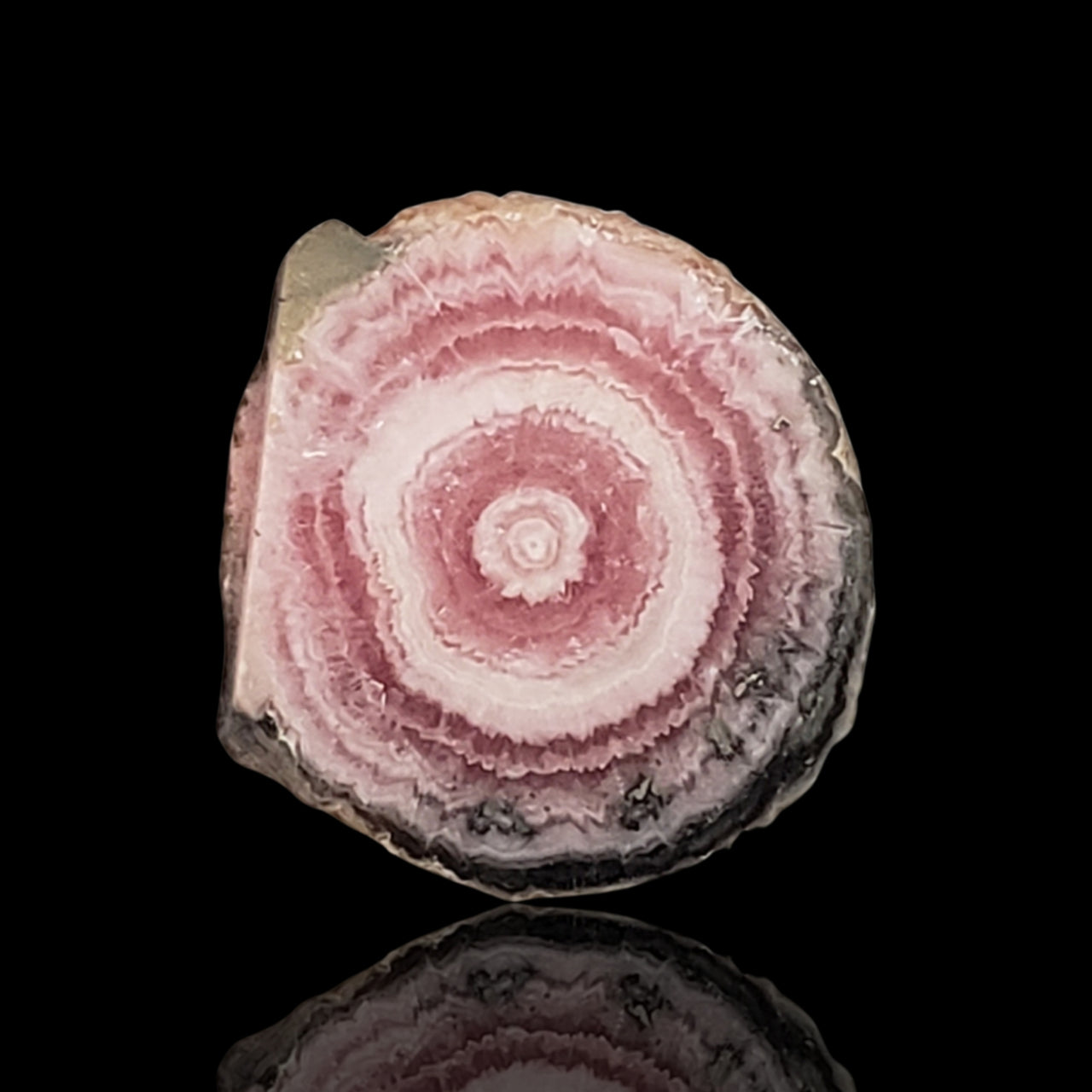 13.5Ct Natural Rhodochrosite Stalactite Stalagmite Tube Polished Slice 17x15mm