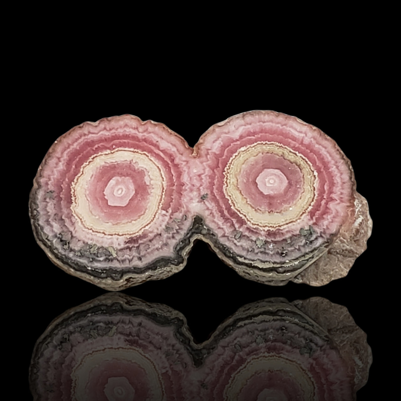 25Ct Natural Rhodochrosite Stalactite Stalagmite Tube Polished Slice 32x17mm