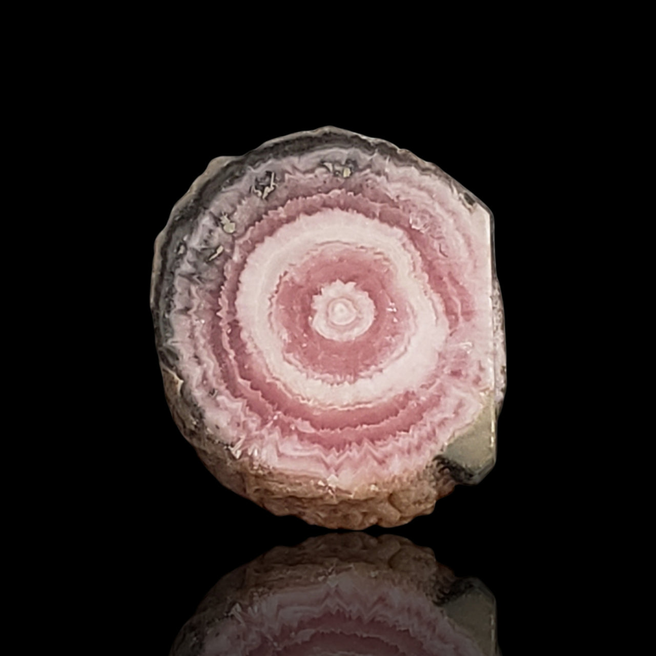 13.5Ct Natural Rhodochrosite Stalactite Stalagmite Tube Polished Slice 17x15mm