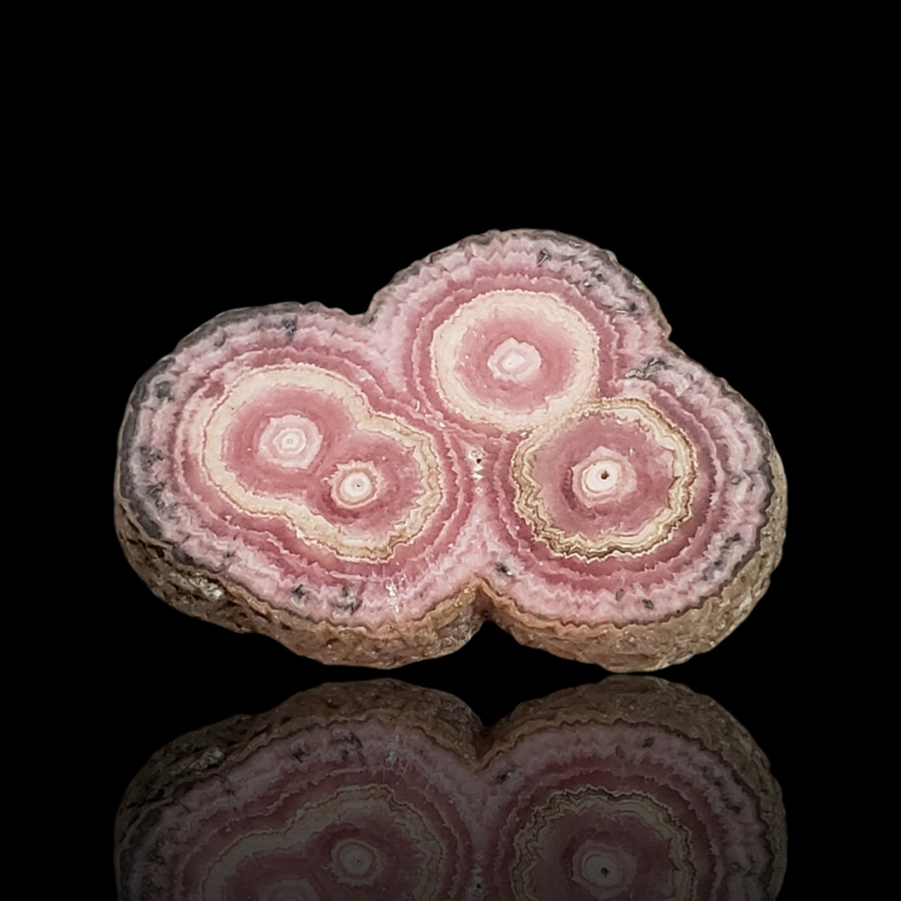 42Ct Natural Rhodochrosite Stalactite Stalagmite Tube Polished Slice 33x23mm