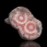 Thumbnail for 24Ct Natural Rhodochrosite Stalactite Stalagmite Tube Polished Slice 25x16mm