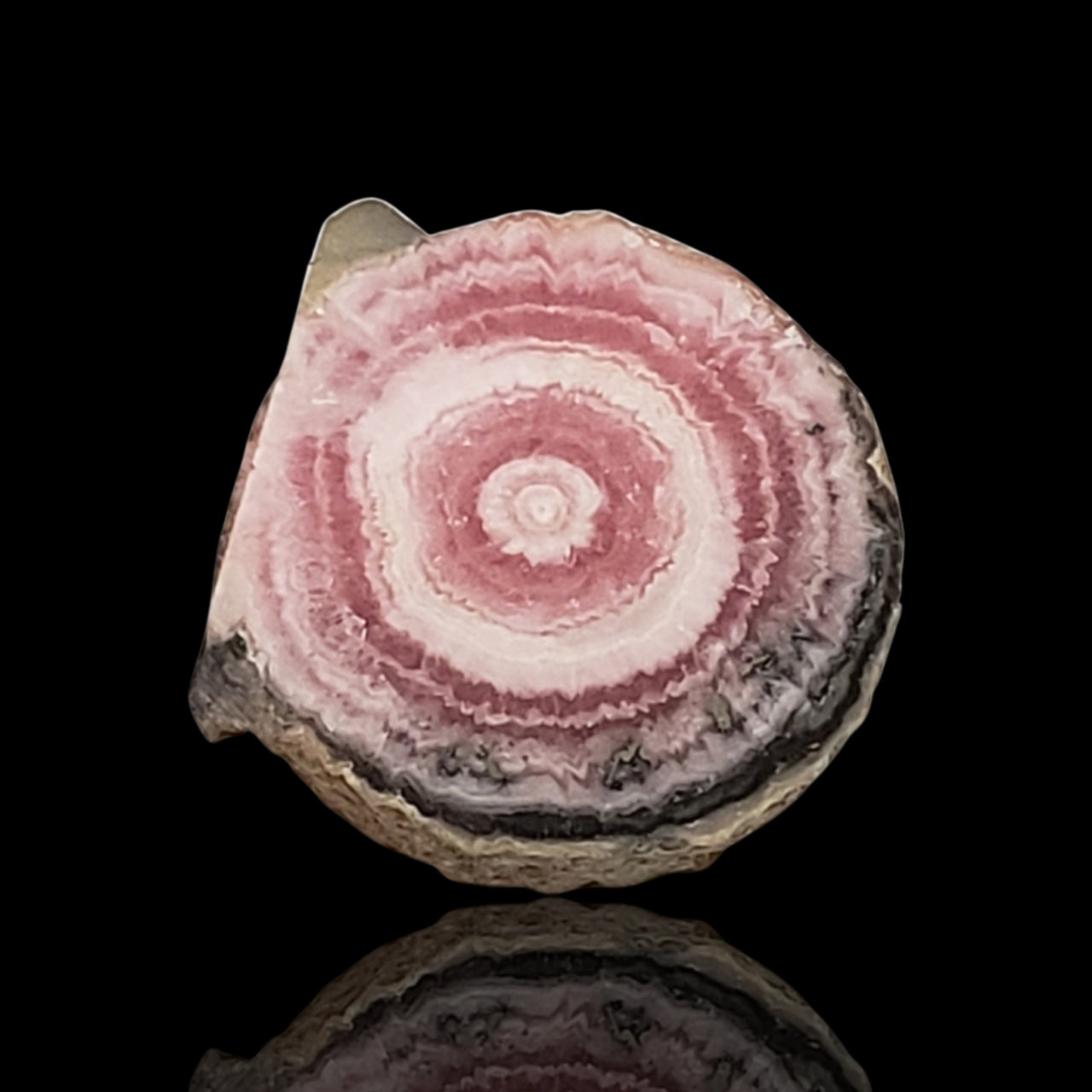 13.5Ct Natural Rhodochrosite Stalactite Stalagmite Tube Polished Slice 17x15mm