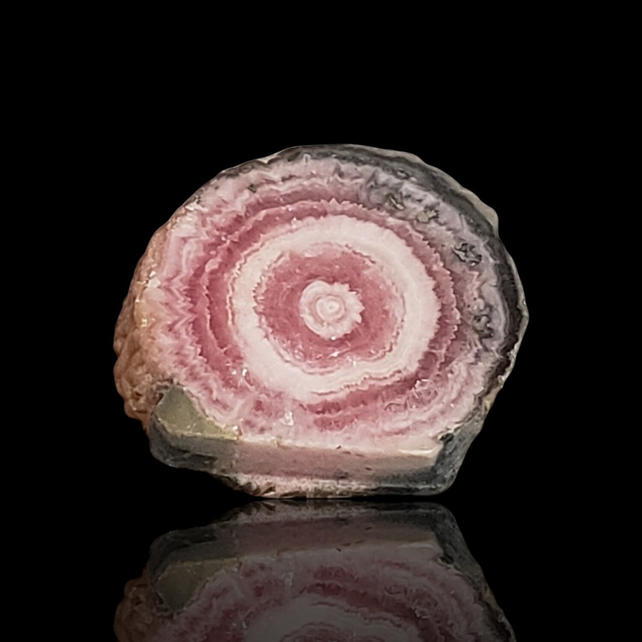 13.5Ct Natural Rhodochrosite Stalactite Stalagmite Tube Polished Slice 17x15mm