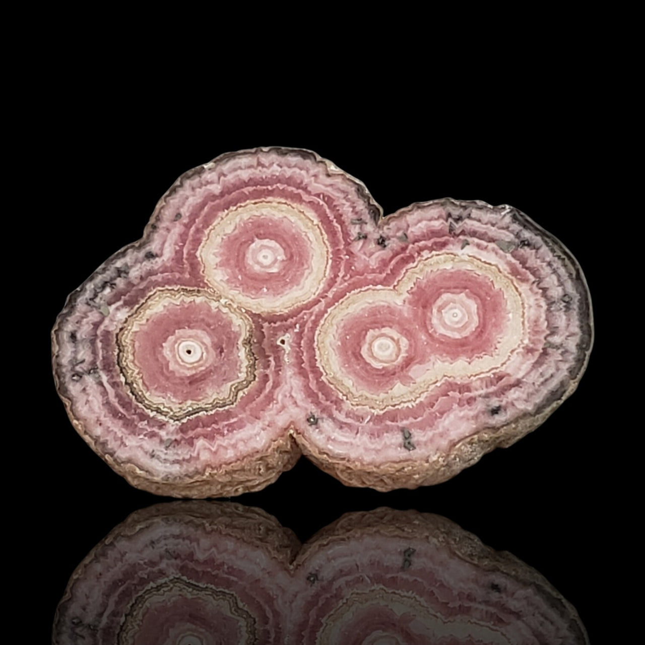 42Ct Natural Rhodochrosite Stalactite Stalagmite Tube Polished Slice 33x23mm