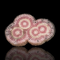 Thumbnail for 42Ct Natural Rhodochrosite Stalactite Stalagmite Tube Polished Slice 33x23mm