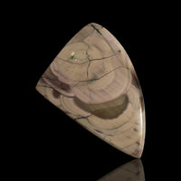 Thumbnail for 20Ct Natural  Imperial Jasper Cabochon 30x22mm