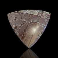 Thumbnail for 77.5Ct Natural HUGE Sonoran Dendritic Jasper Cabochon 48x48mm