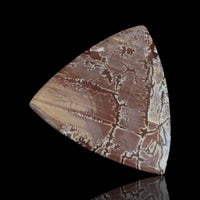 Thumbnail for 77.5Ct Natural HUGE Sonoran Dendritic Jasper Cabochon 48x48mm