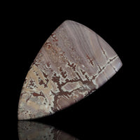 Thumbnail for 45Ct Natural Sonoran Dendritic Jasper Cabochon 46x30mm