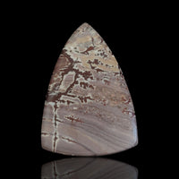 Thumbnail for 45Ct Natural Sonoran Dendritic Jasper Cabochon 46x30mm