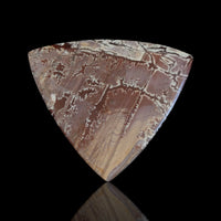 Thumbnail for 77.5Ct Natural HUGE Sonoran Dendritic Jasper Cabochon 48x48mm