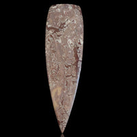 Thumbnail for 55Ct Natural LONG Sonoran Dendritic Jasper Cabochon 70x20mm