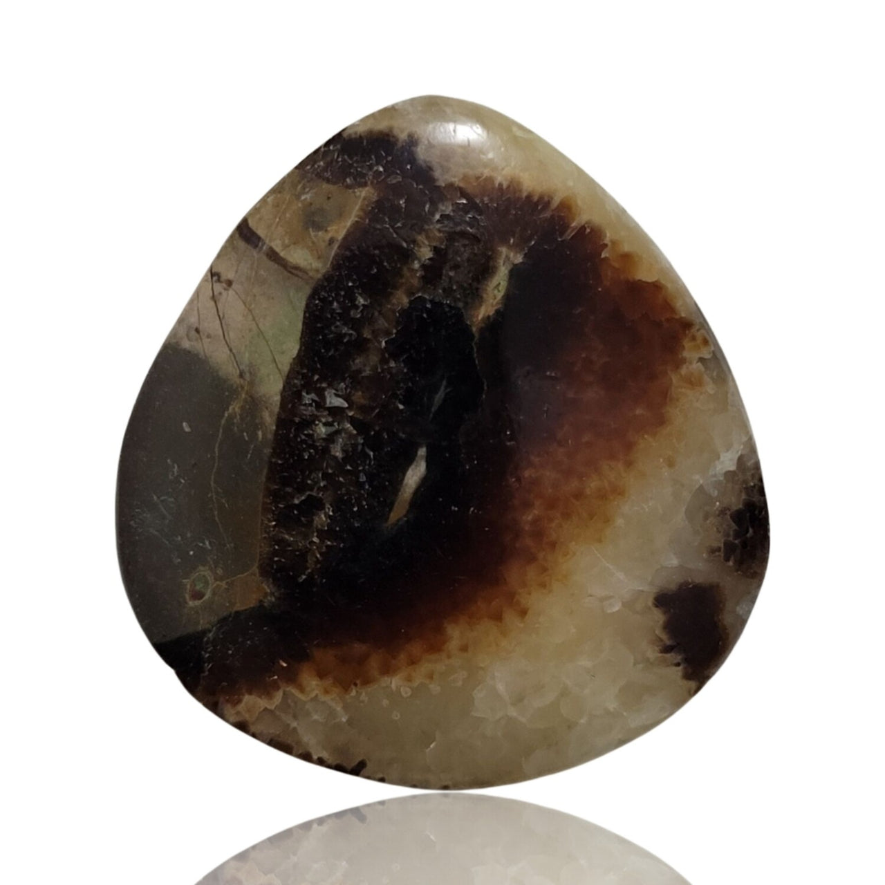 Natural Septarian Geode Cabochons - 10) 54Ct, 37x35mm