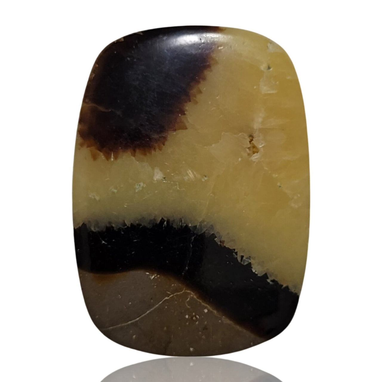 Natural Septarian Geode Cabochons - 4) 56Ct, 38x28mm