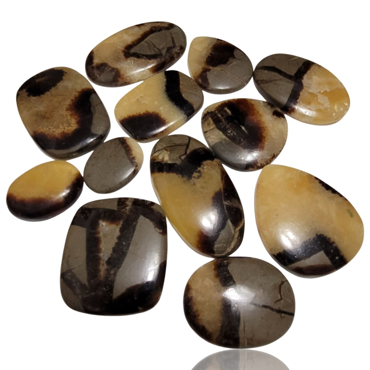 Natural Septarian Geode Cabochons