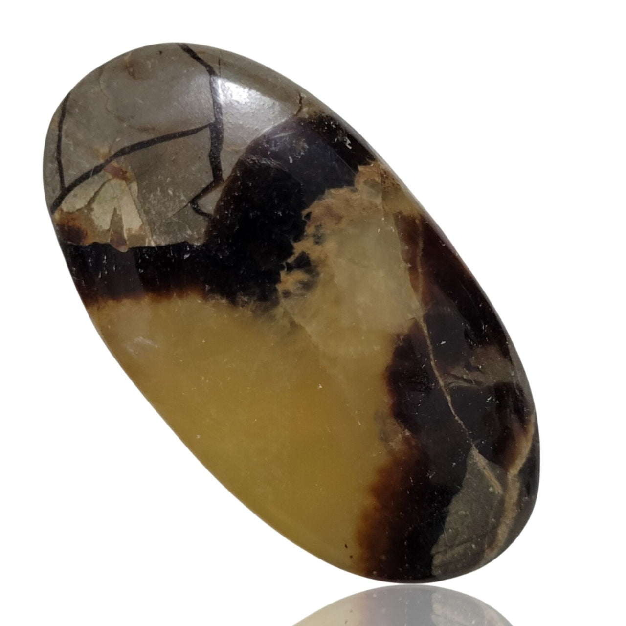 Natural Septarian Geode Cabochons - 6) 97Ct, 53x28mm