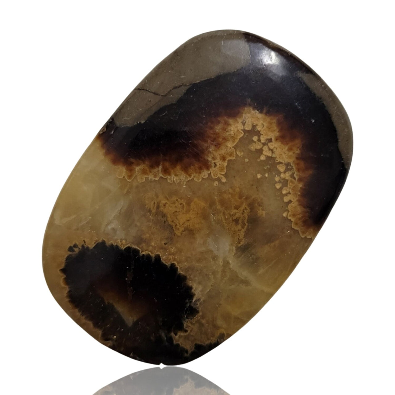 Natural Septarian Geode Cabochons - 12) 100Ct, 48x33mm